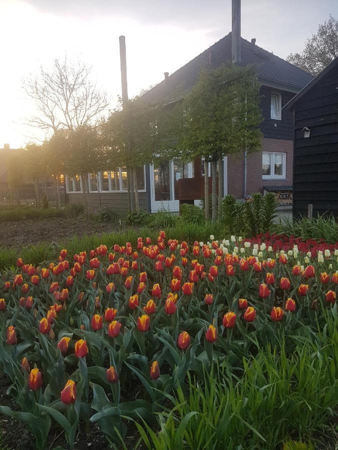 Bed And Breakfast De Volkelse Hooiberg ภายนอก รูปภาพ